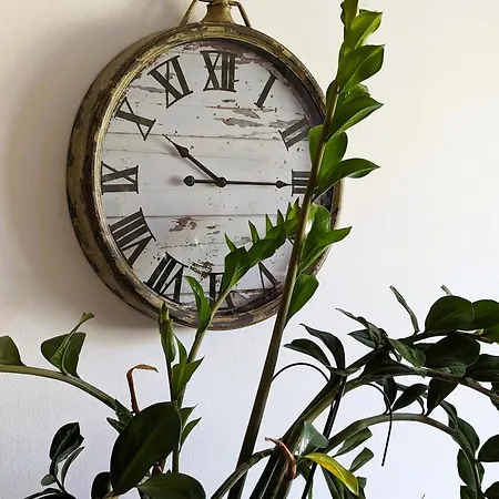 Apartment Retreat: Zentral Und Gemuetlich Rastatt